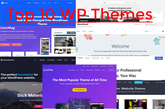 websiteslearn, hrhabibpro, habibcoder, web designer, web developer